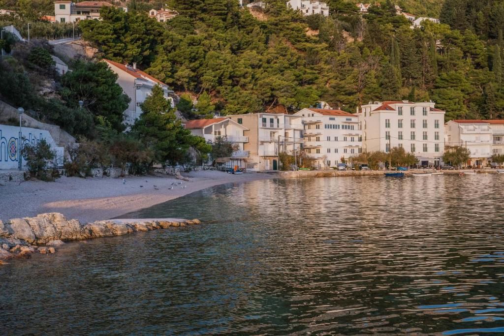 Hotel Pleter фото 17