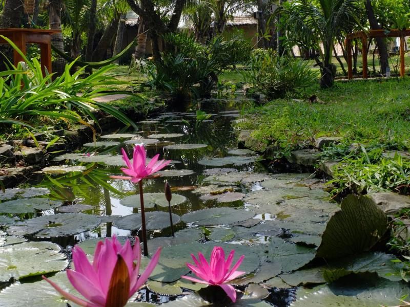 Cassia Cottage Resort фото 18