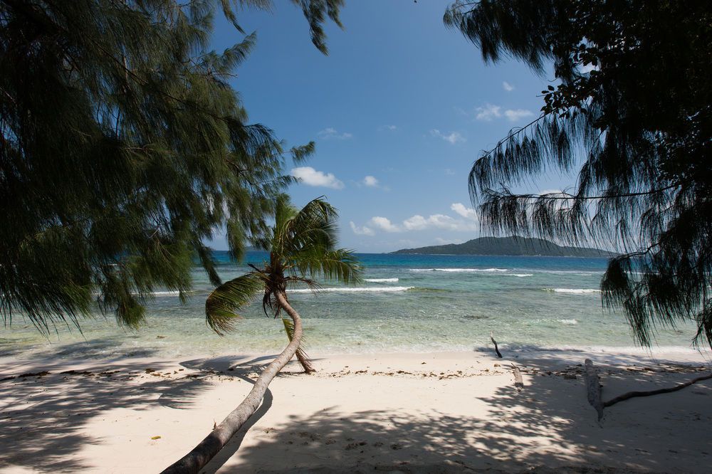 Le Relax Luxury Lodge фото 79