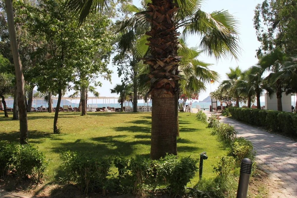 Lykia Botanika Beach Hotel фото 89