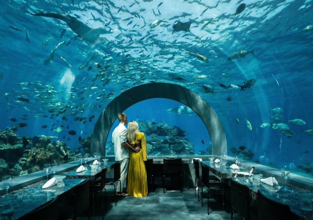 You & Me by Cocoon (Adult Only) фото 132