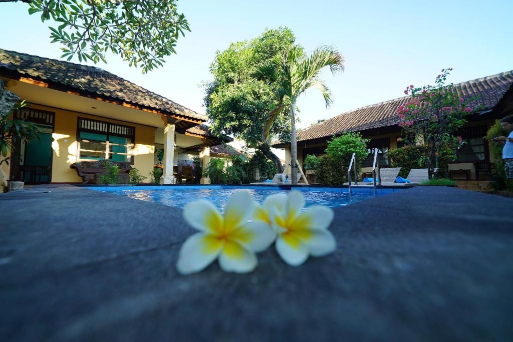 Guest House «Guest House «Mangga Bungalow»» фото 6