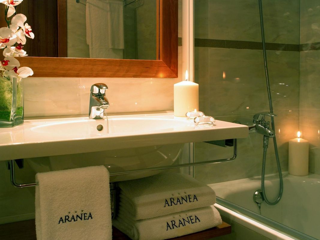 Hotel Aranea фото 6