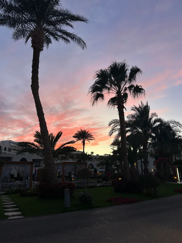 Sunrise Arabian Beach Resort - Grand Select фото 51