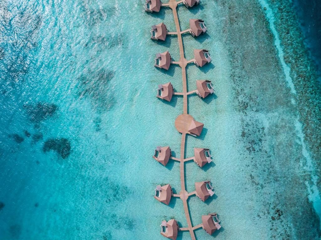 Intercontinental Maldives Maamunagau Resort фото 157
