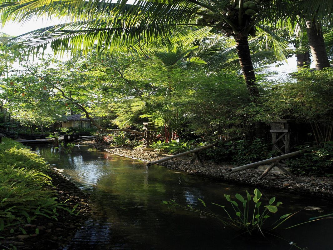 Centara Koh Chang Tropicana  Resort фото 63