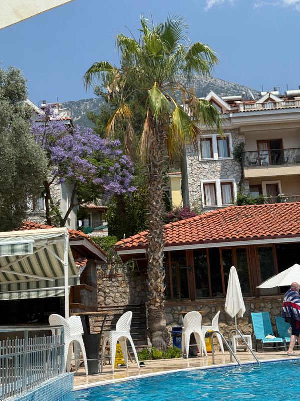 Perdikia Hill Family Resort & Villas фото 50