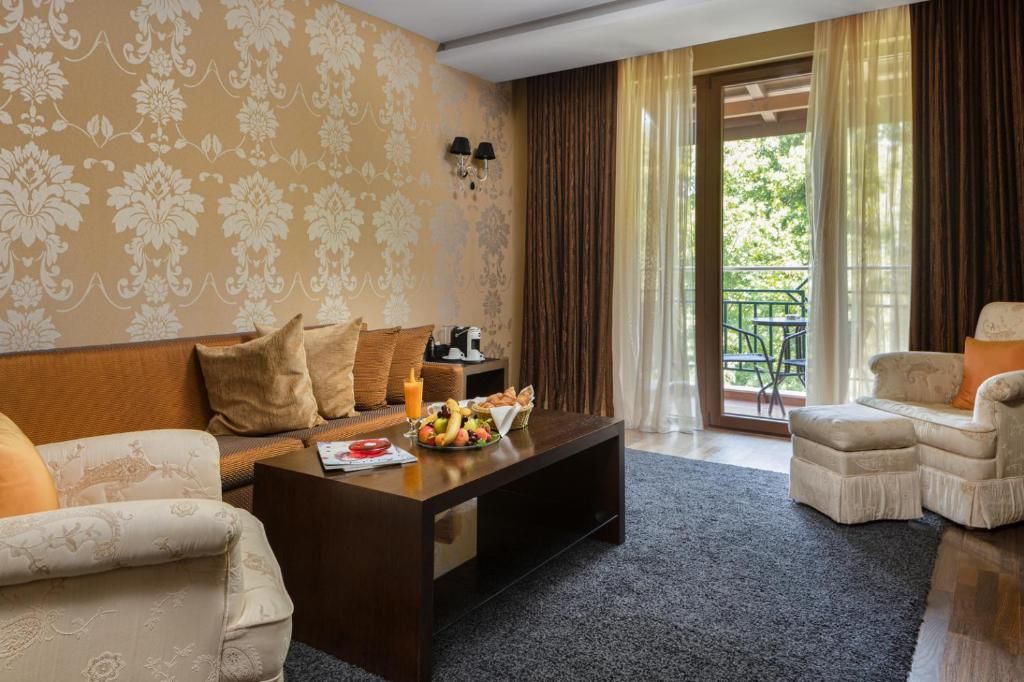 Park Hotel Pirin фото 46