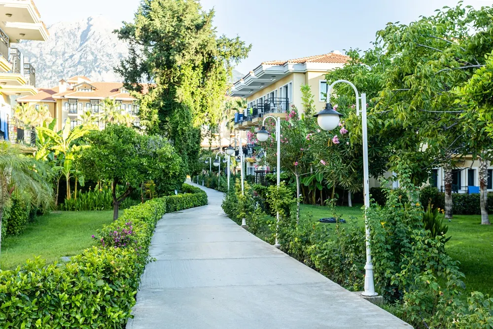 Club Hotel Phaselis Rose фото 237