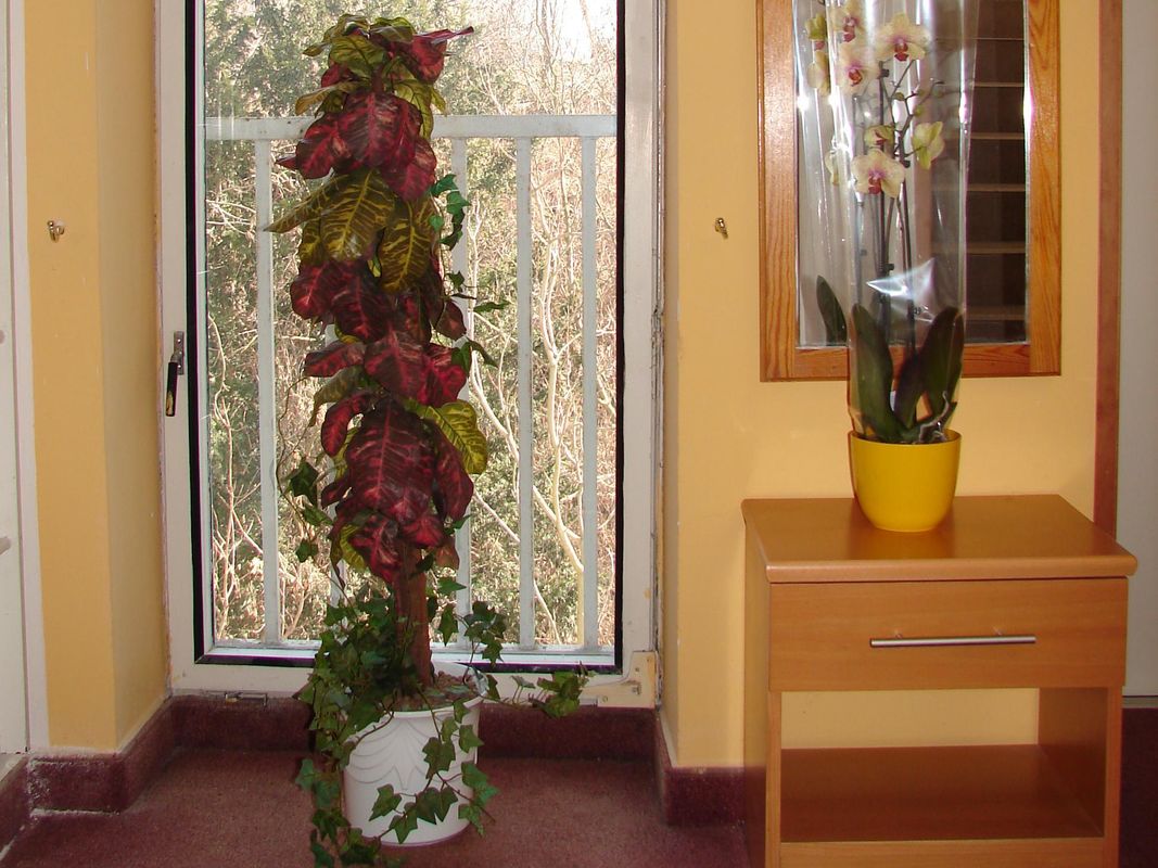 Hotel Aladin фото 13