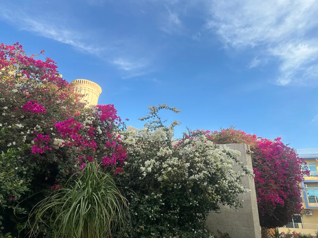 Mirage Bay Resort & Aqua Park фото 105