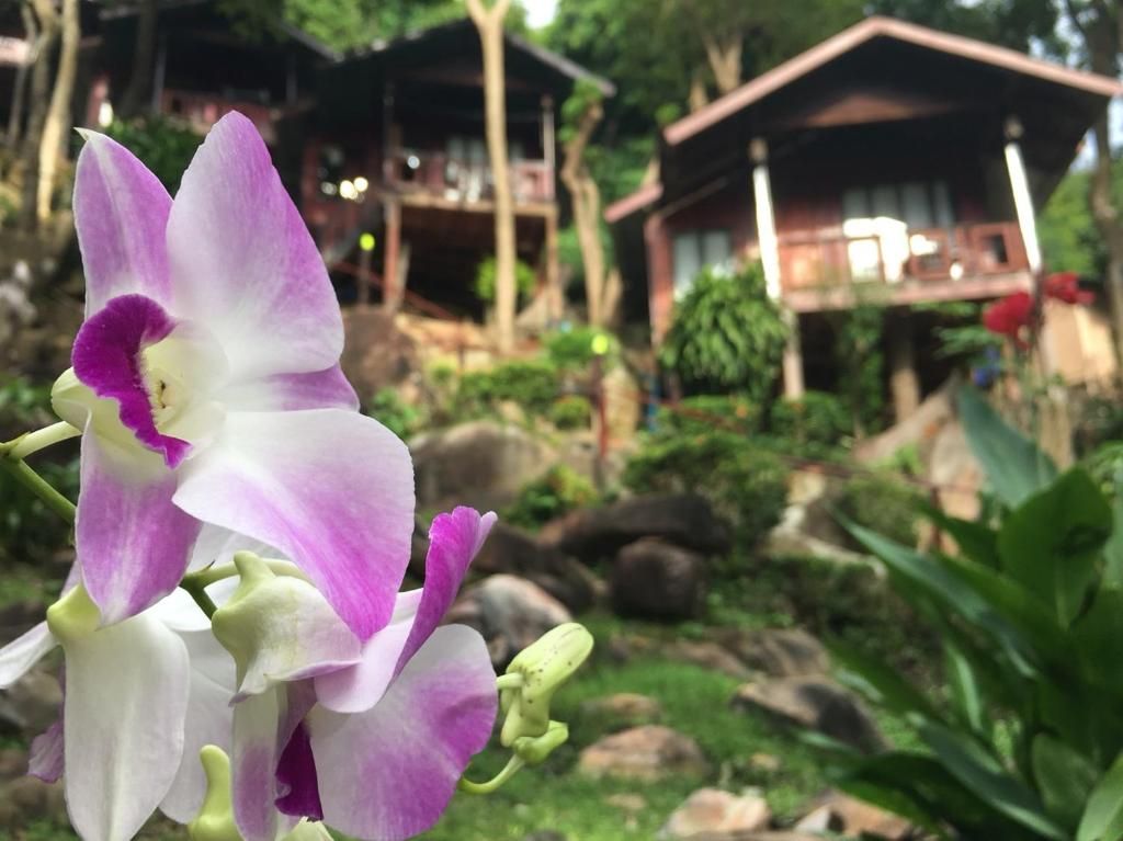 Maney Resort фото 38