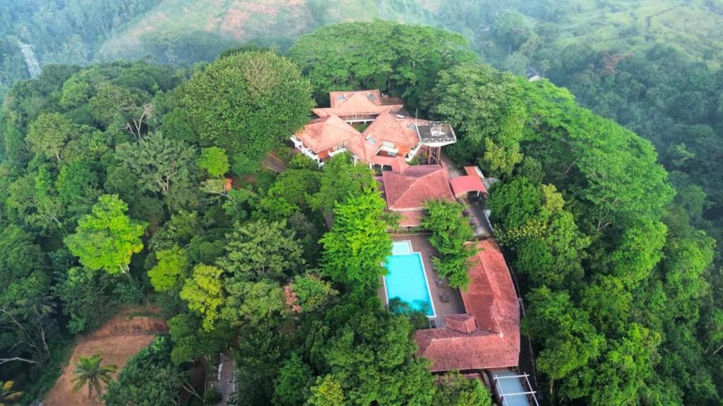 Tree of Life Nature Resort фото 3