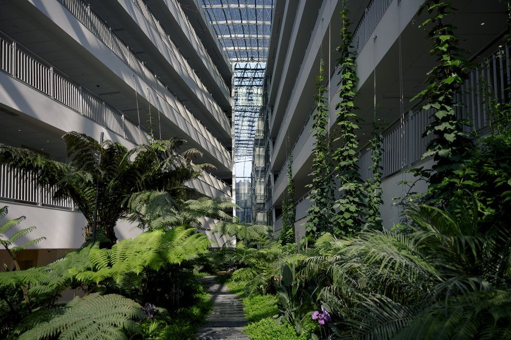 Пансионат «Orchestra Crystal Sochi Resort» фото 131