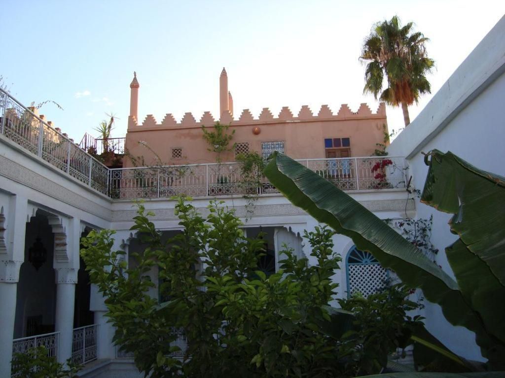 Riad Ifoulki фото 11