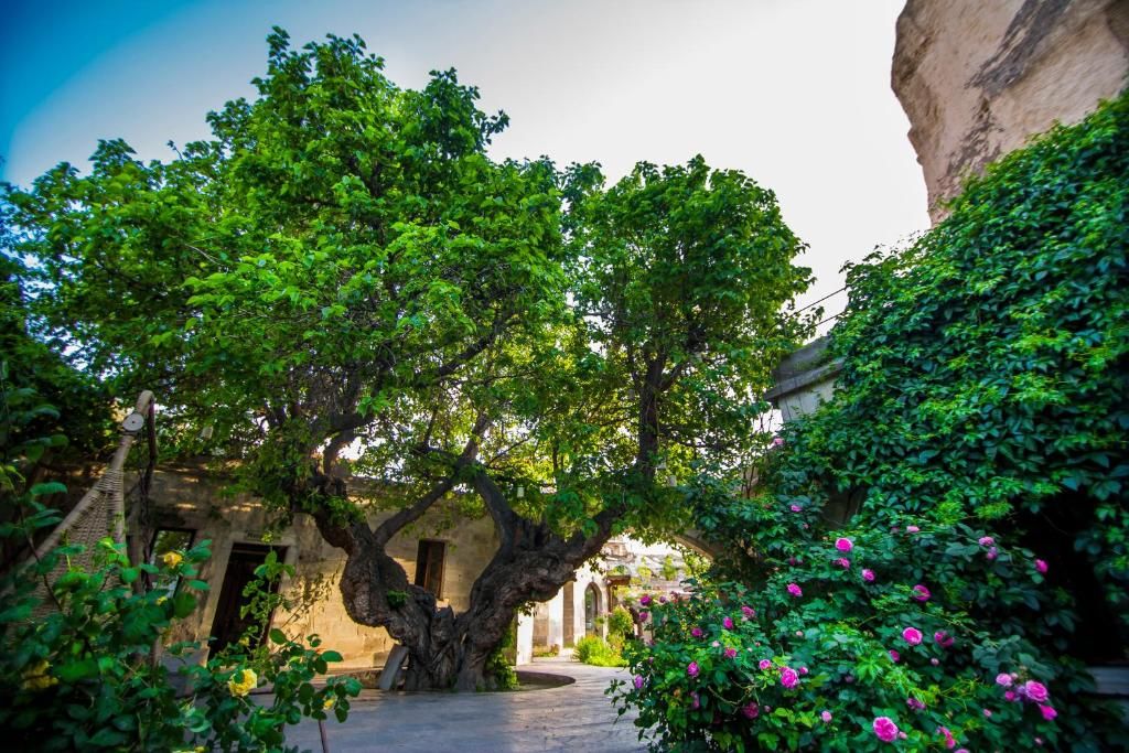Dervish Cave House фото 44