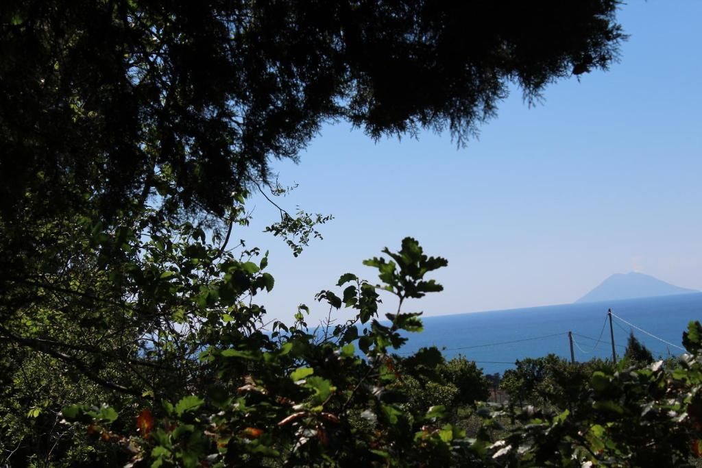 Agriturismo Ruralia фото 2