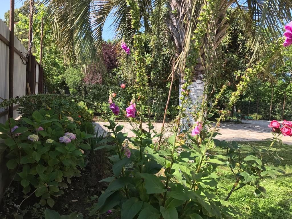 Гостевой дом «Guest House Evkalipt» фото 39