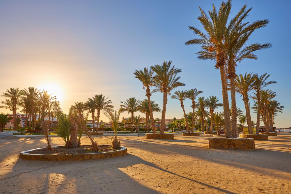 Protels Crystal Beach Resort фото 33