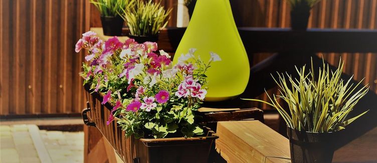 Фото отеля KESEA