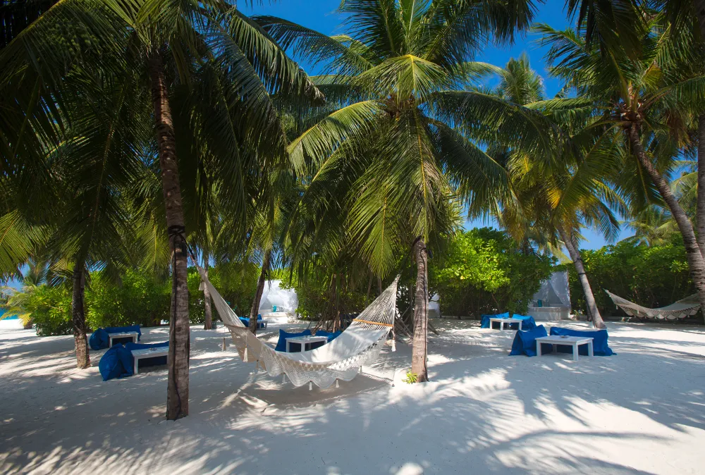 Niva Velassaru Maldives фото 36