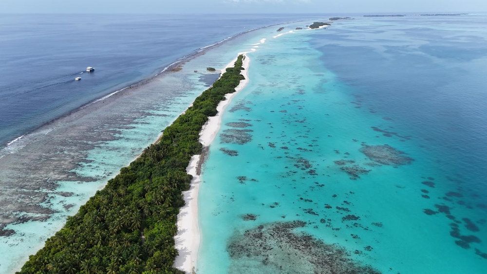 Guest House «TME Retreats Dhigurah Guest House» фото 69