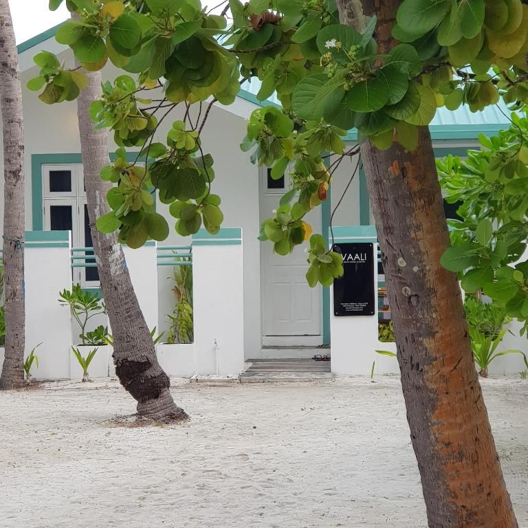 Vaali Island Escapes & Dive фото 30
