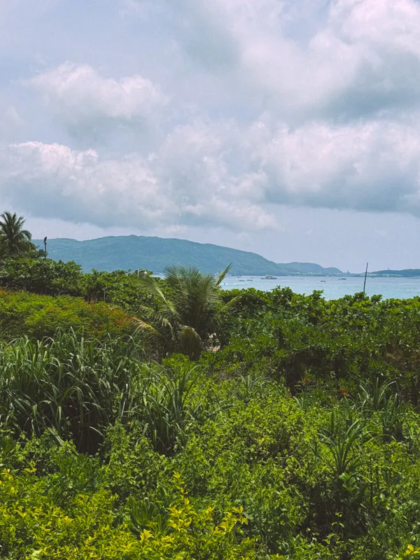 Yalong Bay Mangrove Tree Resort фото 40