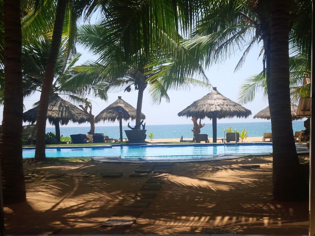 Royal Beach Resort фото 24