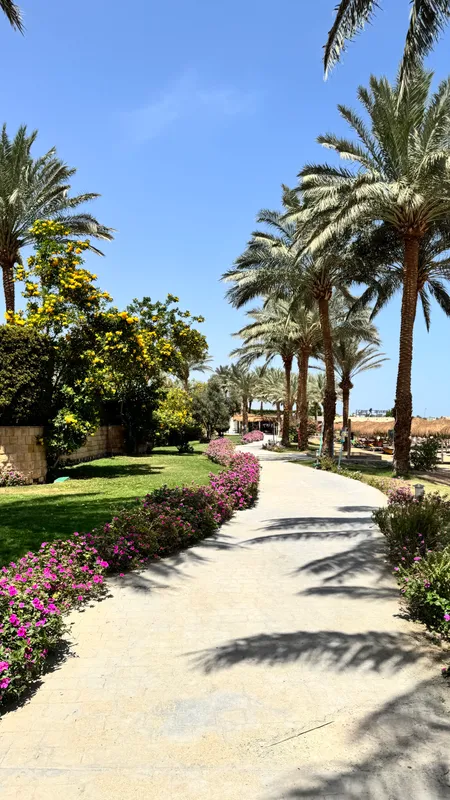 Sentido Caribbean World Resort Soma Bay фото 83