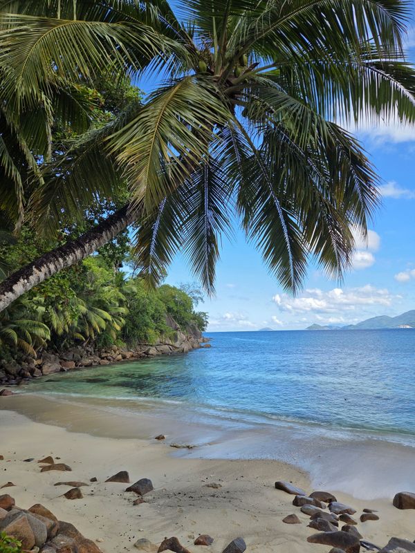 Mango House Seychelles, LXR Hotels & Resorts фото 50
