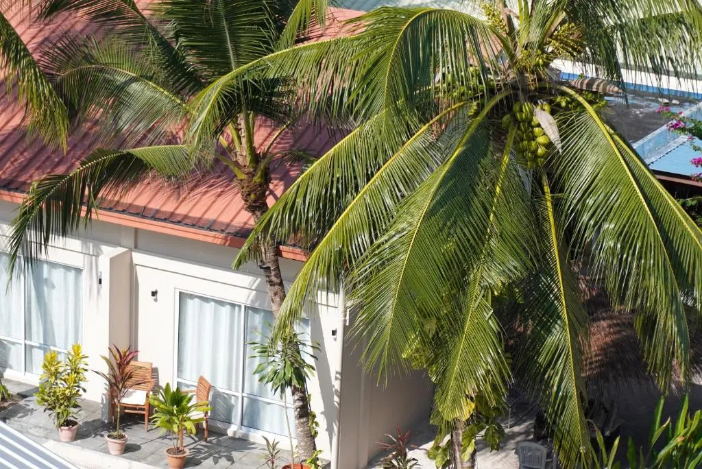 Guest House «TME Retreats Dhigurah Guest House» фото 17