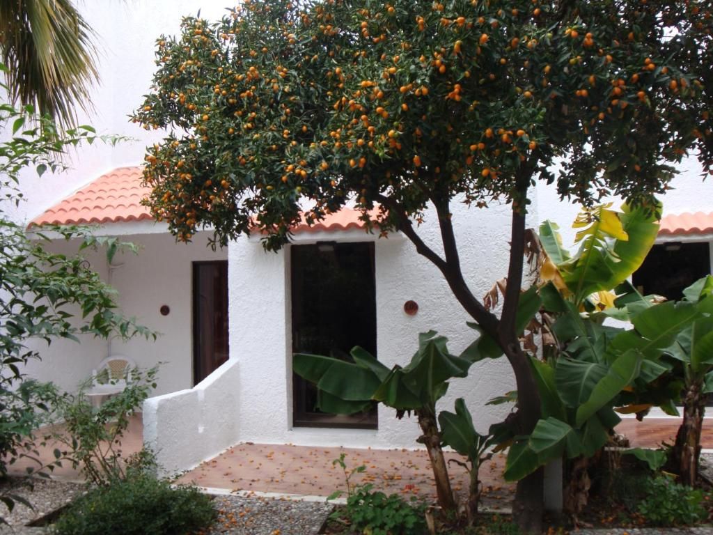 Oasis Hotel Bungalows фото 46
