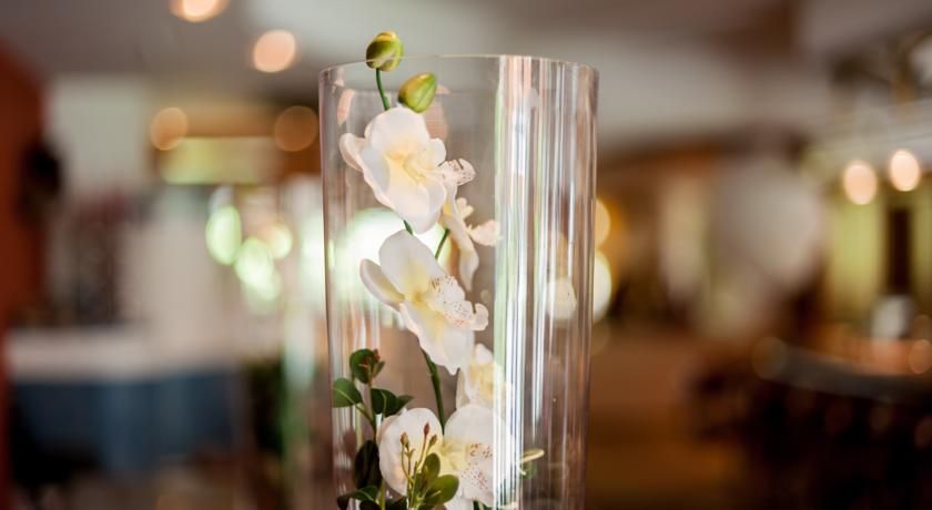 Hotel Der Waldhof фото 23
