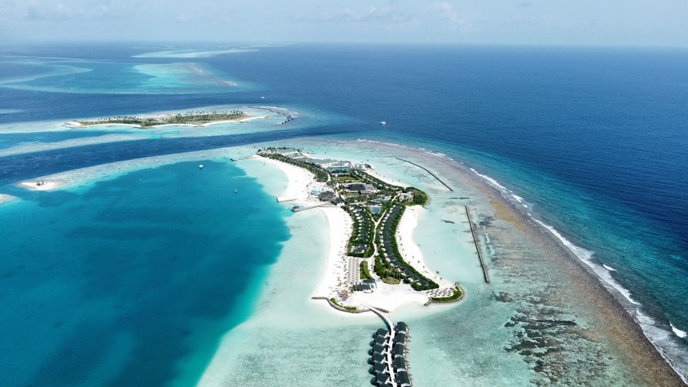 Joy Island фото 33