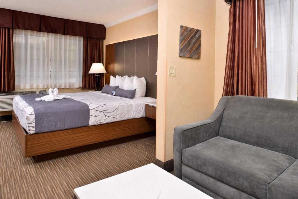 Best Western Hollywood Plaza Inn - Hollywood Walk of Fame Hotel - LA фото 39