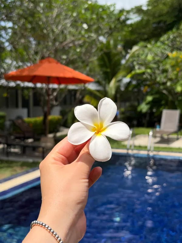 Nai Yang Beach Resort & Spa фото 36
