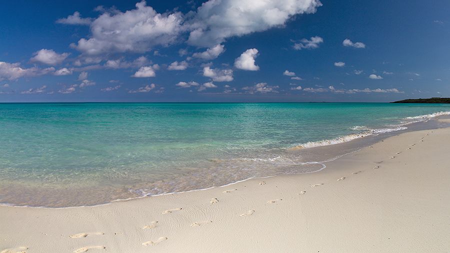 Be Live Collection Cayo Santa Maria фото 10