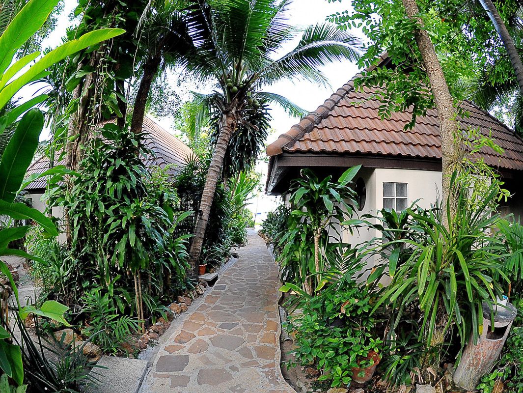 Samui Natien Resort фото 24