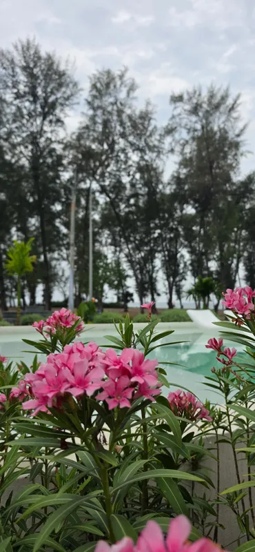 Kora Beach Resort Phuket фото 24
