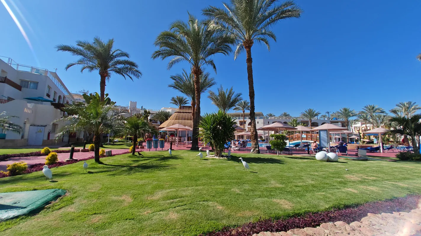 Pickalbatros Royal Grand Resort Sharm El Sheikh (Adults Only) фото 86