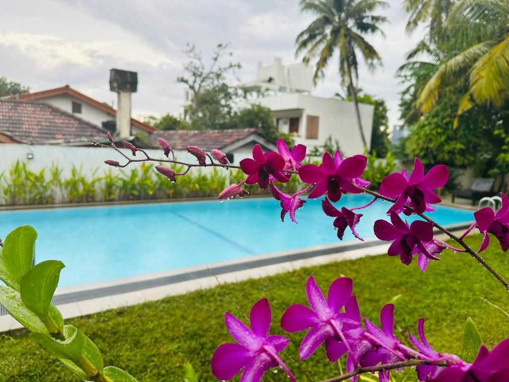 Star Holiday Resort фото 19