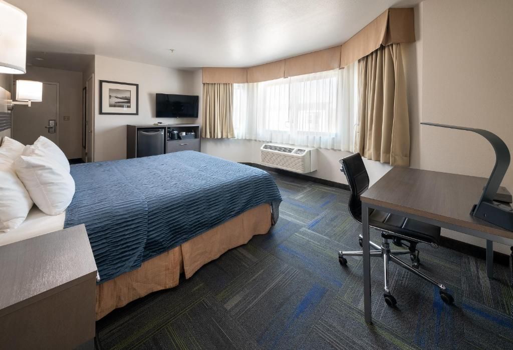 Buena Vista Motor Inn фото 33