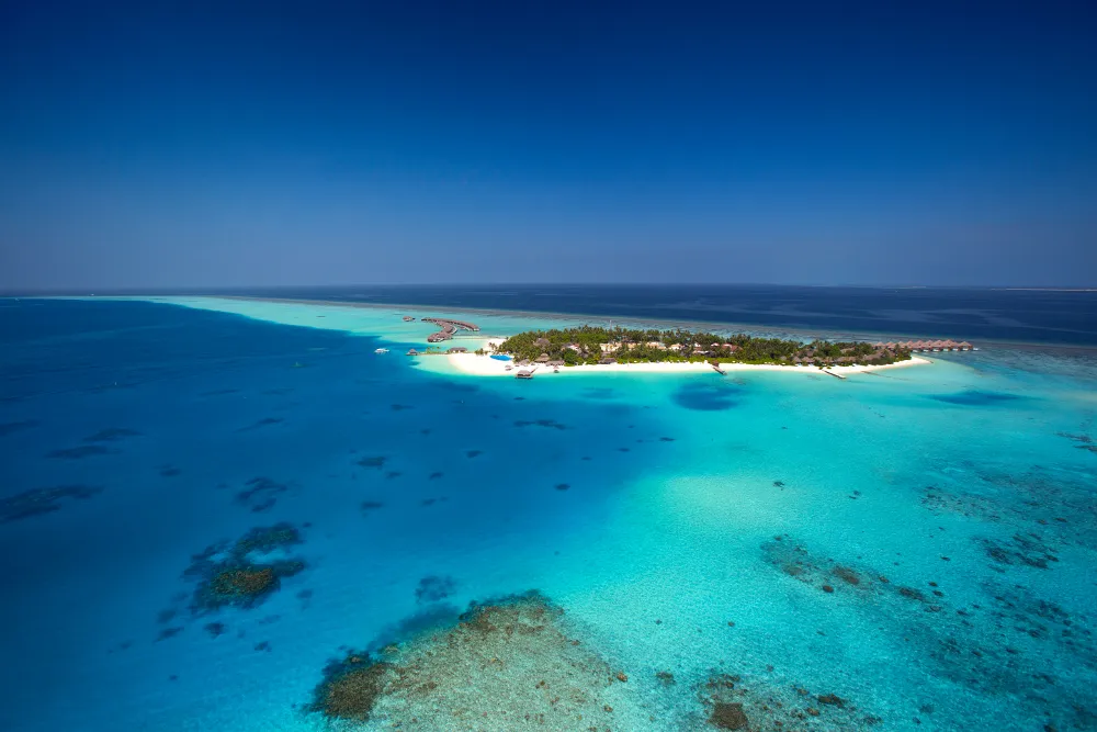 Niva Velassaru Maldives фото 28