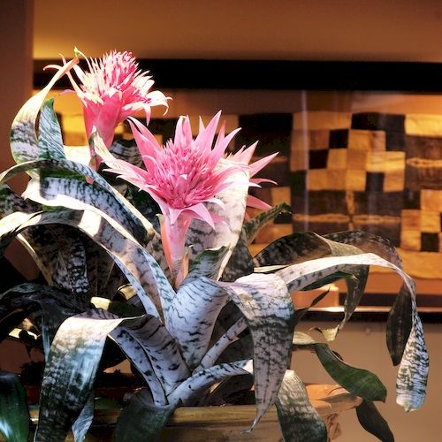 Royal Savoy фото 2
