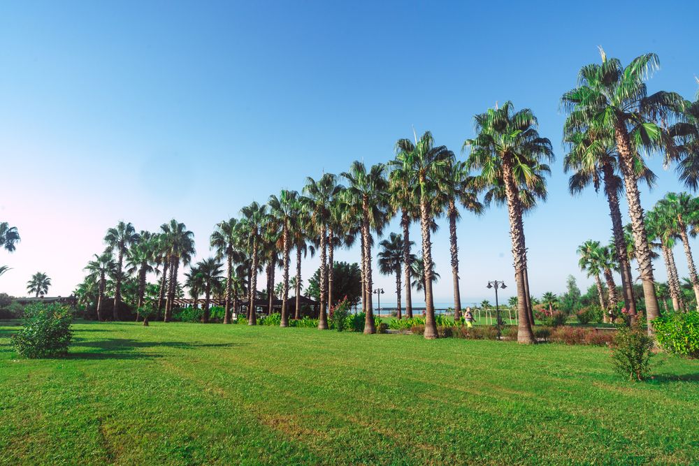 Royal Atlantis Beach Hotel фото 9