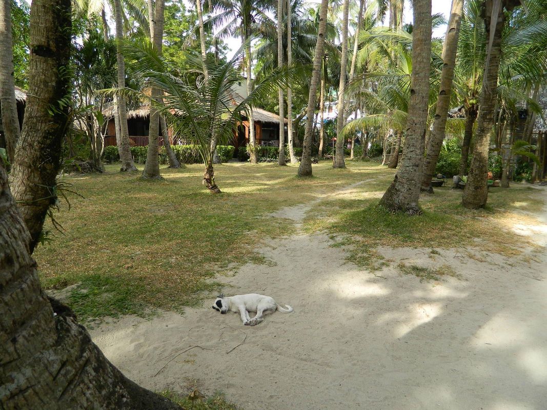 Boracay Huts фото 9