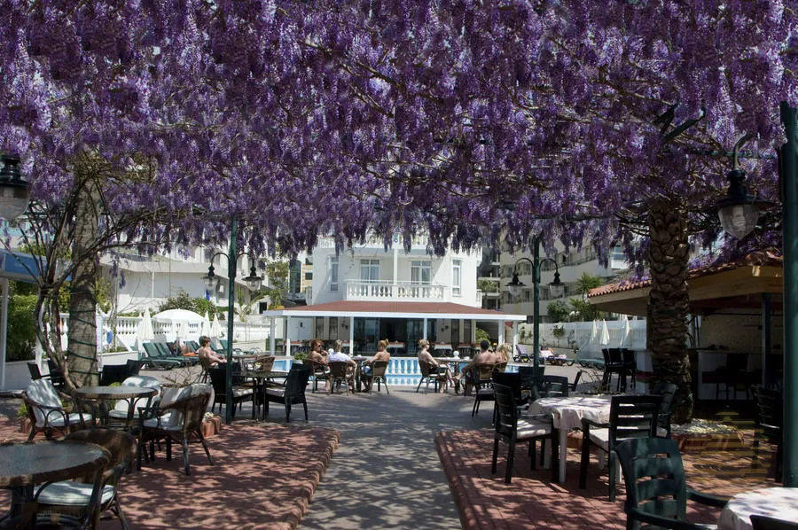 Azak Beach Hotel фото 12