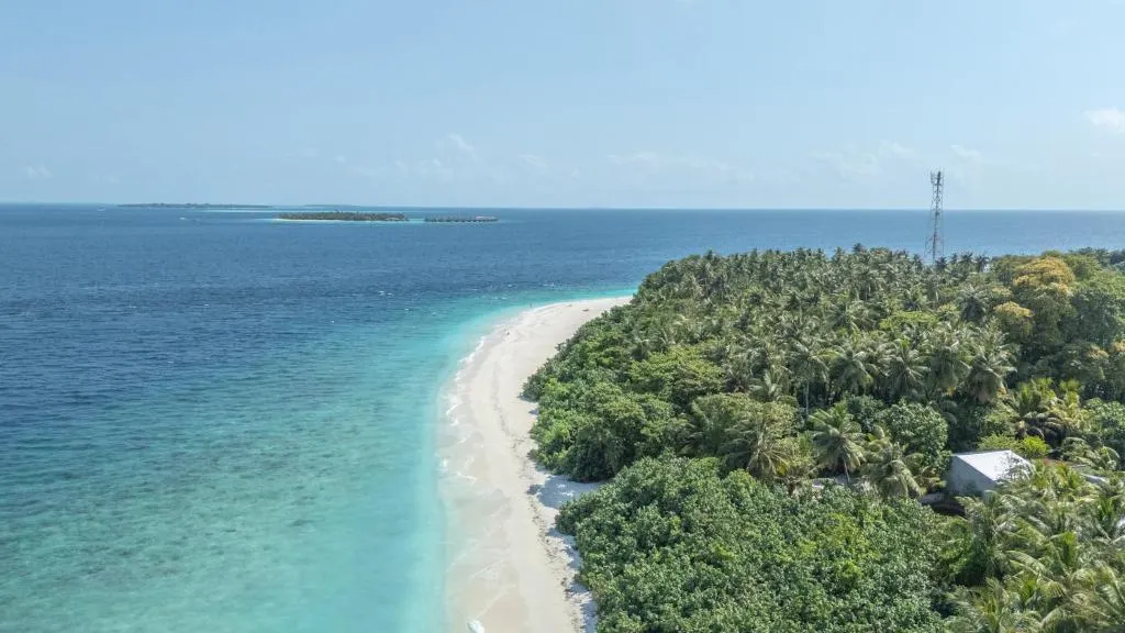 Nest by Hawks Hotels Kamadhoo Baa Atoll фото 16