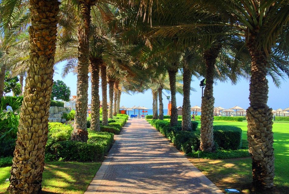 Coral Beach Resort Sharjah фото 64
